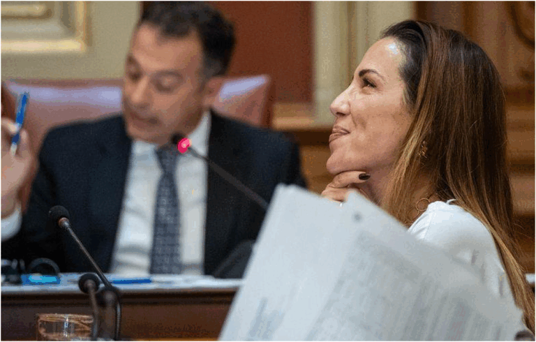 Santa Cruz de Tenerife invia consigli di abbigliamento ai consiglieri protesta di Patricia Hernández