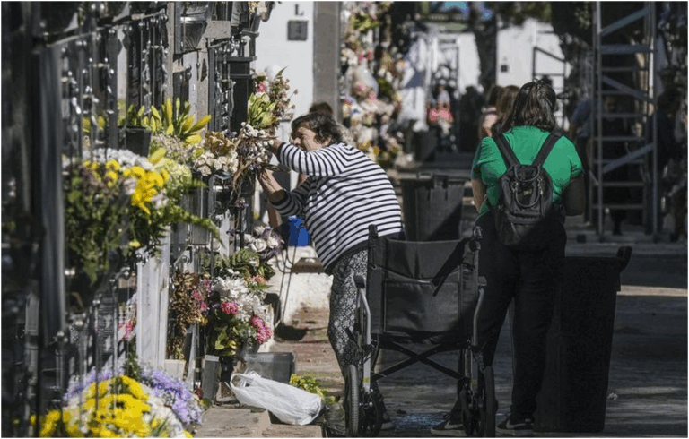 Canarie, il settore dei fiori per Ognissanti: 3 milioni di euro in una settimana e prezzi in rialzo