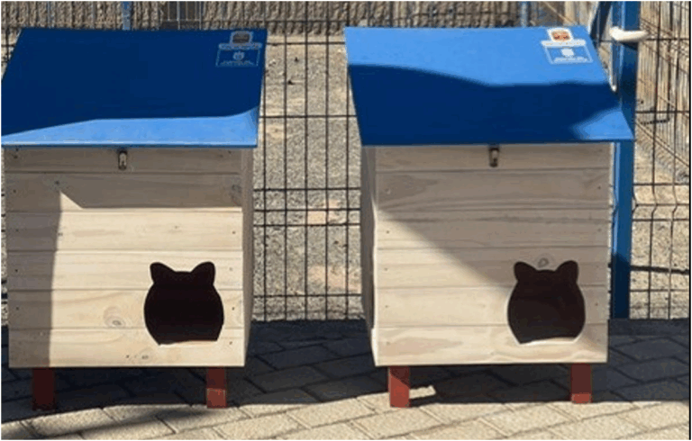 Agaete installa 20 rifugi per gatti e sterilizza 37 felini delle colonie