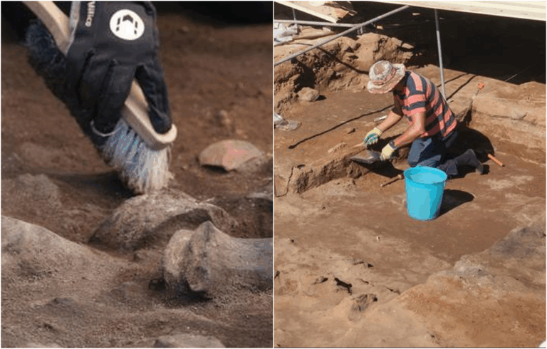 Archeologi nella decima campagna di scavi a Lobos, Fuerteventura sull'officina romana della porpora