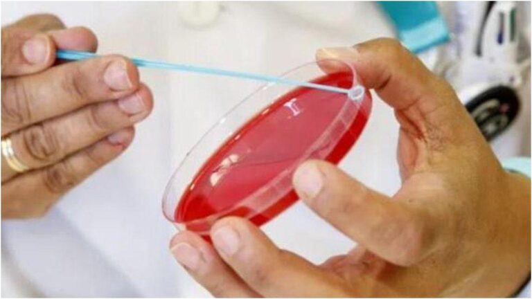 Canarias chiuderà il 2025 senza lo screening del cancro del collo dell’utero, avvio nel 2026