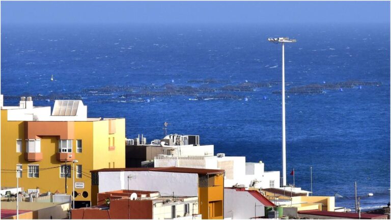 Telde, odore nauseabondo a Melenara e Salinetas: Meclasa chiede ispezioni e misure urgenti