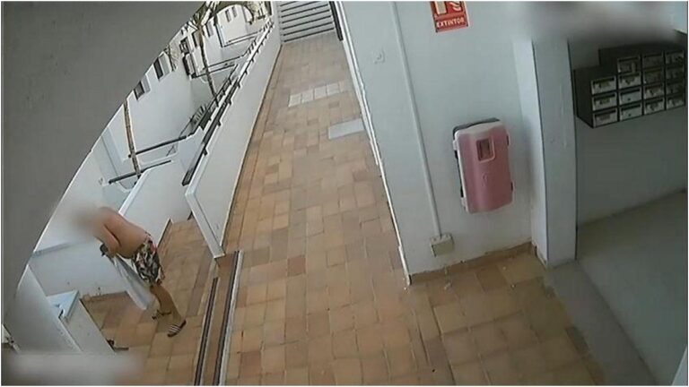 La Guardia Civil arresta a Mogán per aver ucciso una gatta randagia grazie alle telecamere