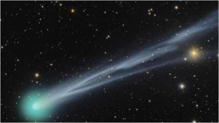 Cometa Lemmon a occhio nudo al tramonto: dove e quando vederlo vicino ad Arturo il 21 ottobre