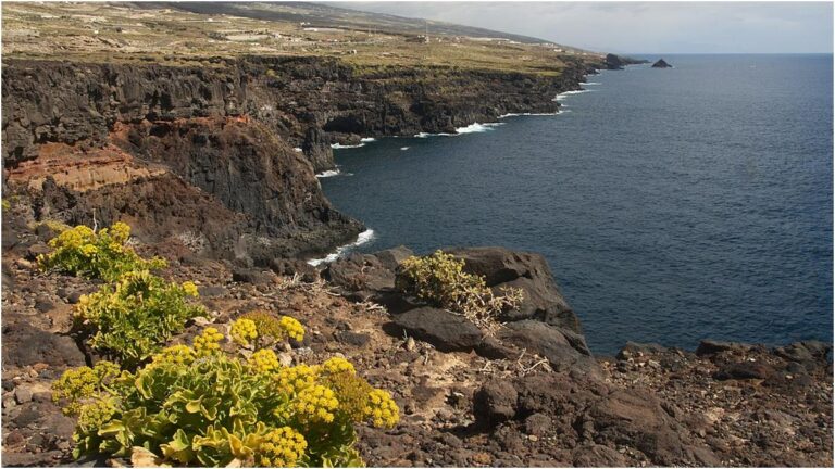 Tenerife, 15 terremoti vulcanotettonici sulla costa est tra Fasnia e Arico rilevati dall'IGN