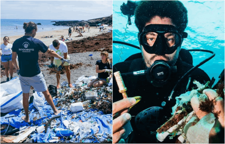 L’ONG Innoceana ha rimosso oltre 5 tonnellate di rifiuti marini nel sud di Tenerife dal 2019